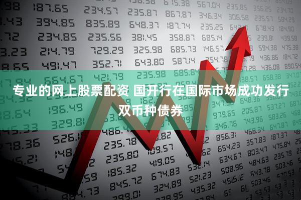 专业的网上股票配资 国开行在国际市场成功发行双币种债券