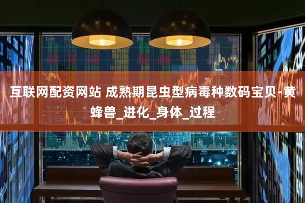 互联网配资网站 成熟期昆虫型病毒种数码宝贝-黄蜂兽_进化_身体_过程